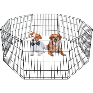 BestPet Premium 3-in-1 Pet Stroller